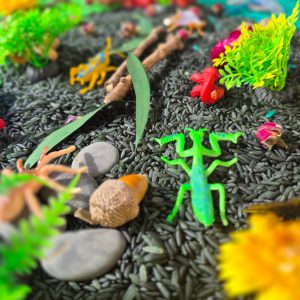 My Bug World Sensory Box